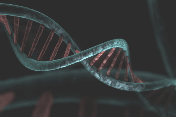 επιγενετική